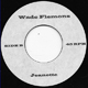 WADE FLEMMONS/TEMPESTS, JEANETTE/WHAT YOU GONNA DO